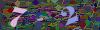 captcha-1789885595
