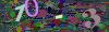 captcha-1789921169