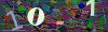 captcha-1789930301