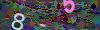 captcha-1789982929