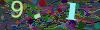 captcha-1790017886