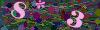 captcha-1790017907