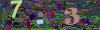 captcha-1790197607