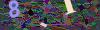 captcha-1790207246
