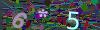 captcha-1790234415