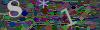 captcha-1790237891