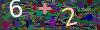 captcha-1790286467