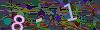 captcha-1790363288
