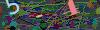 captcha-1790380179