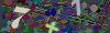 captcha-1790381633