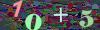 captcha-1790404545