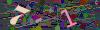captcha-1790454326