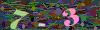 captcha-1790489756