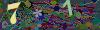 captcha-1790496185