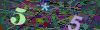 captcha-1790500148