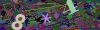 captcha-1790504166