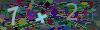 captcha-1790513748