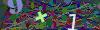 captcha-1790555623