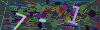 captcha-1790561398
