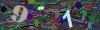 captcha-1790578759