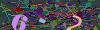 captcha-1790590375