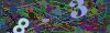 captcha-1790598125