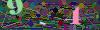 captcha-1790604689