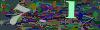 captcha-1790637345