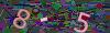 captcha-1790665776
