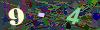 captcha-1790676926