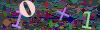 captcha-1790682377
