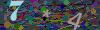 captcha-1790698354