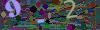 captcha-1790753059