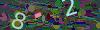 captcha-1790790605