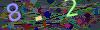 captcha-1790870905