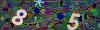 captcha-1790893999