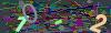 captcha-1791071709