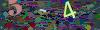 captcha-1791110471