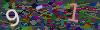 captcha-1791141391
