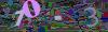 captcha-1791155530