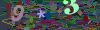 captcha-1791167817