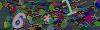 captcha-1791201308