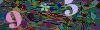 captcha-1791288180