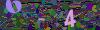 captcha-1791330608