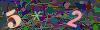 captcha-1791381843