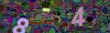 captcha-1791388703