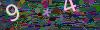 captcha-1791436102