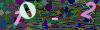 captcha-1791537103