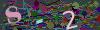captcha-1791539920