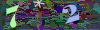 captcha-1791540860